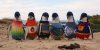 o-PENGUINS-IN-TINY-SWEATERS-facebook.jpg