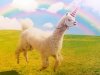 llamawithrainbow.jpg