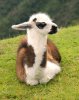 babyllama2.jpg