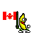 canadian-flag-banana-smiley-emoticon.gif