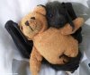 bat-snuggles-teddy.jpg