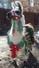 christmasllama.jpg