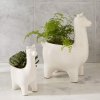 ceramic-llama-planters-d3869-z.jpg