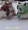 babushkats.png