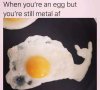 egg.jpg