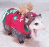 christmasopossum.jpg