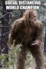 bigfoot.jpg