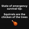 squirrels.jpg