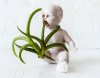 creepy-baby-doll-head-planters-2-5ae81220e53f3__700.jpg