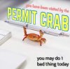 permit crab.jpg