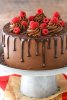 Raspberry-Chocolate-Layer-Cake4.jpg